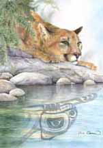 Cougar Reflection